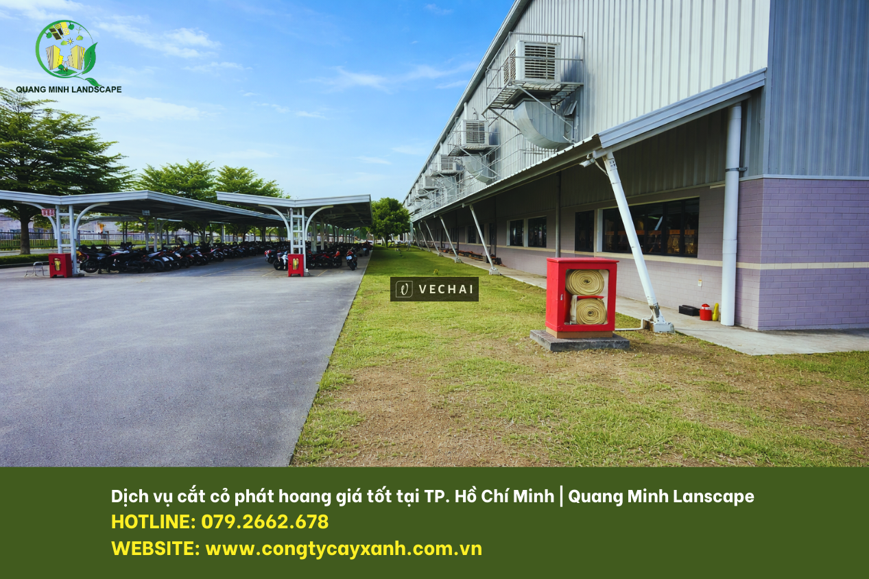 Dịch Vụ Cắt Cỏ Phát Hoang Tại Đồng Nai, TP. HCM