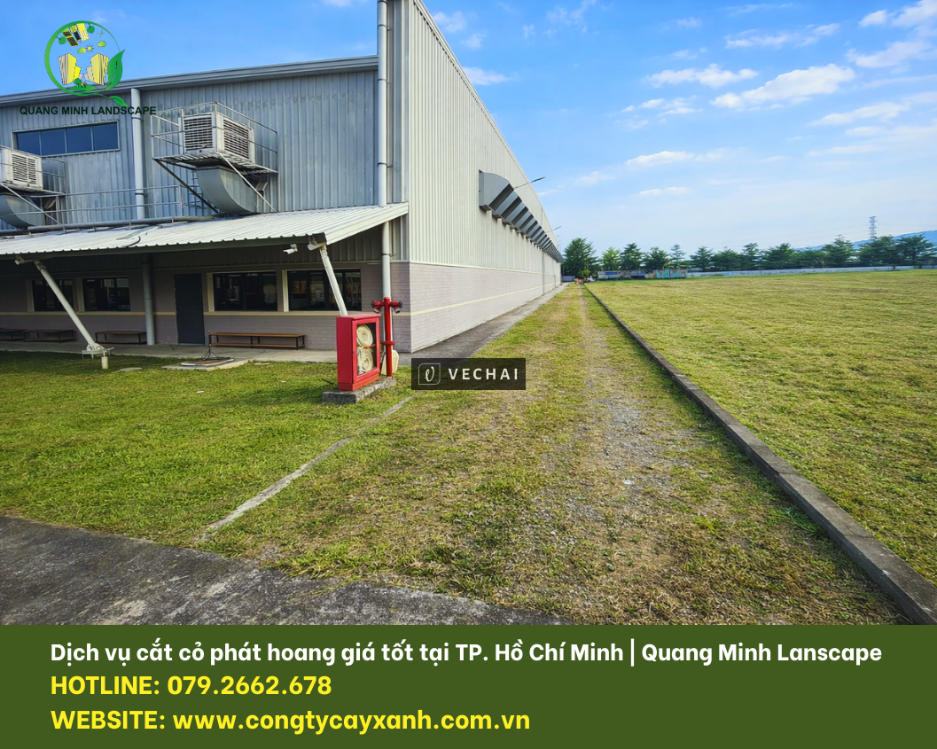 Dịch Vụ Cắt Cỏ Phát Hoang Tại Đồng Nai, TP. HCM