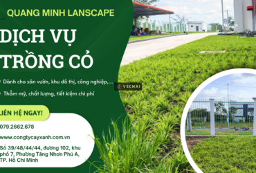 Trồng Cỏ Giá Rẻ, Uy Tín Tại Đồng Nai, TP.HCM
