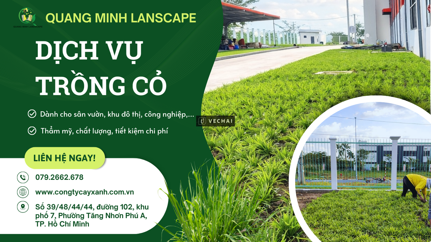 Trồng Cỏ Giá Rẻ, Uy Tín Tại Đồng Nai, TP.HCM