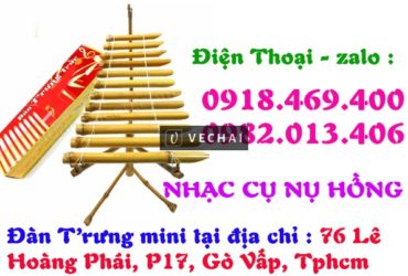 Đàn T'rưng mini tại Gò Vấp ( Tp.Hồ Chí Minh )