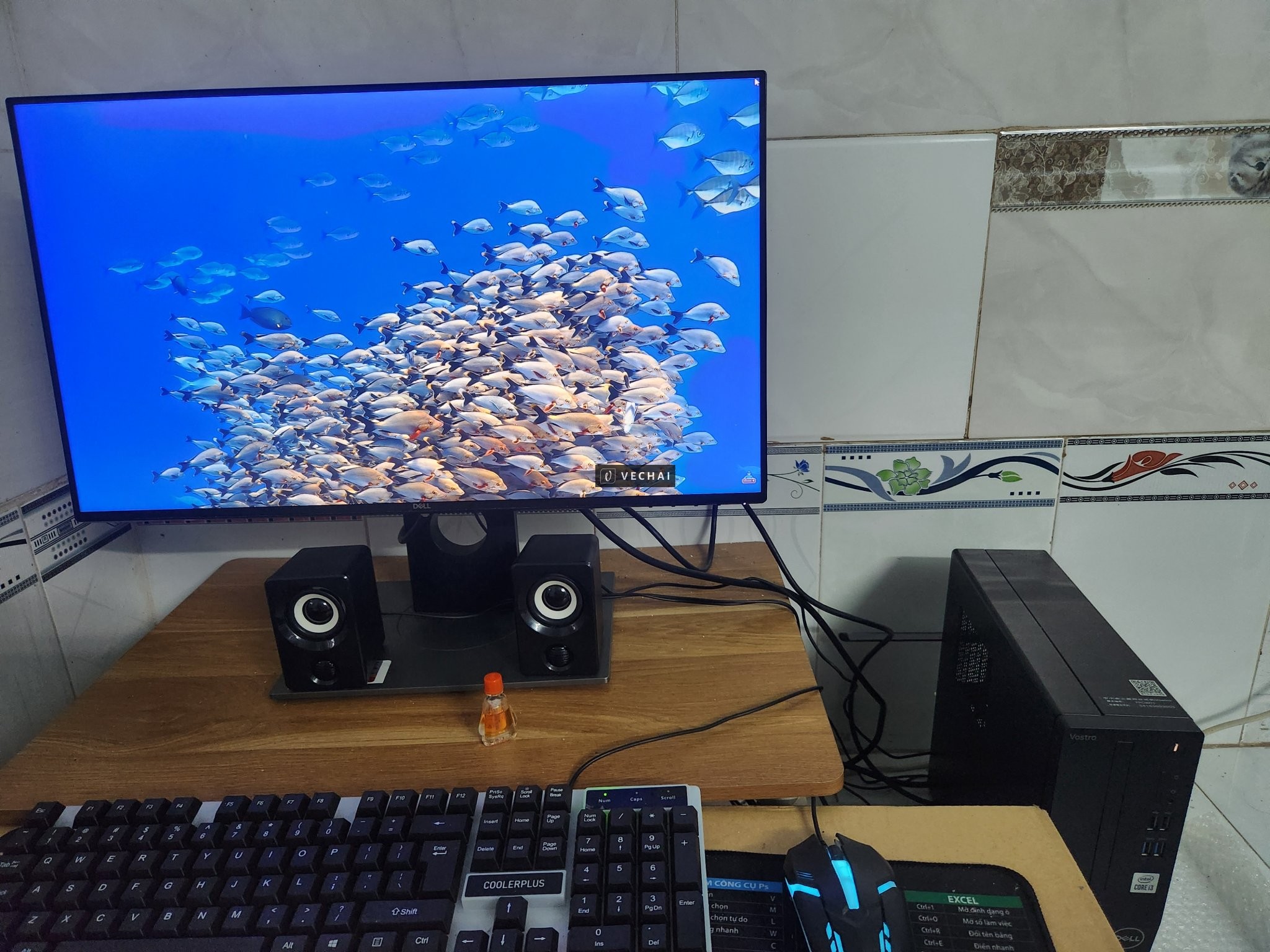 Nguyên bộ máy tính Dell